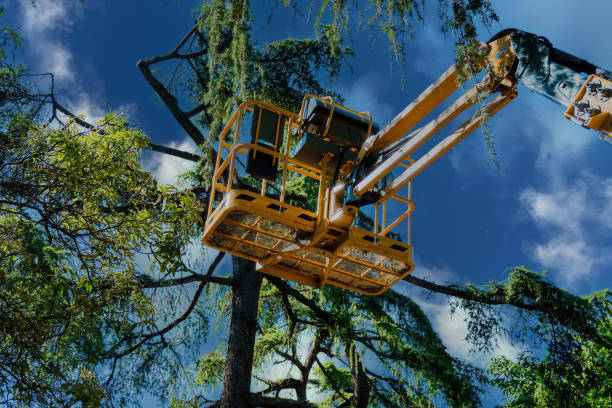 Landscape Design and Installation in Sultan, WA
